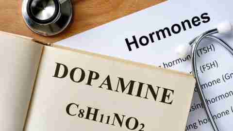 Stethoscope, open book and sheet of paper with words "dopamine" and "hormones" written on them